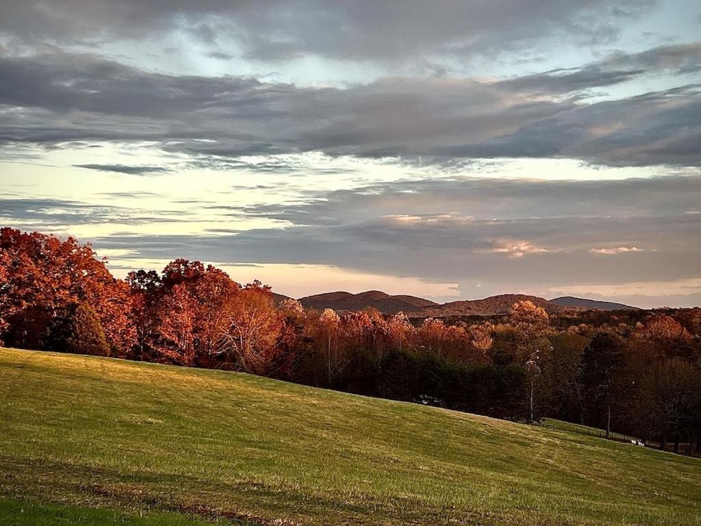 The Nest At Cardinal Hill Dahlonega Villa Exterior photo